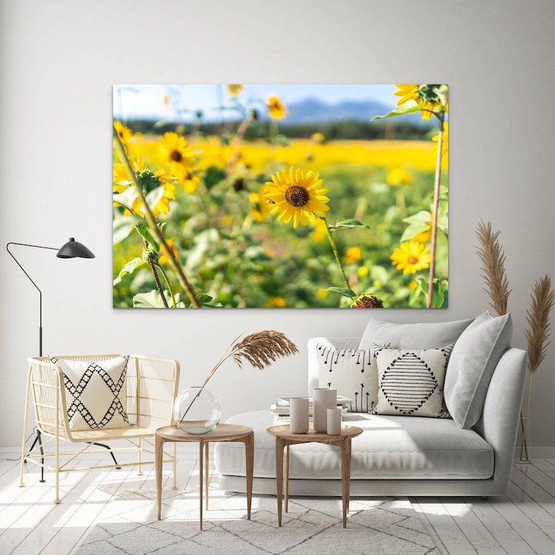 Flagstaff Wild Sunflowers metal print